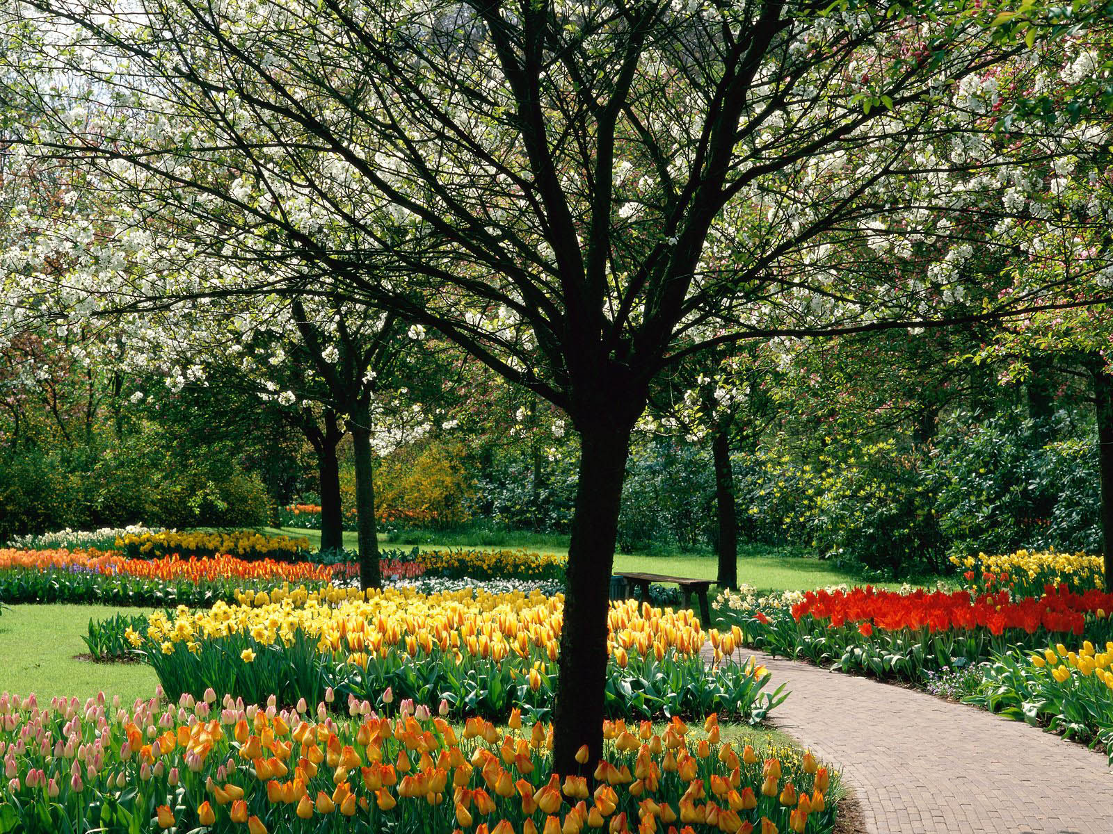 SPRING